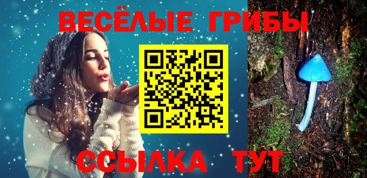 Прокопьевск  Галлюциногенные грибы Cubensis  Псилоцибиновые грибы Cubensis  Вход с VPN 